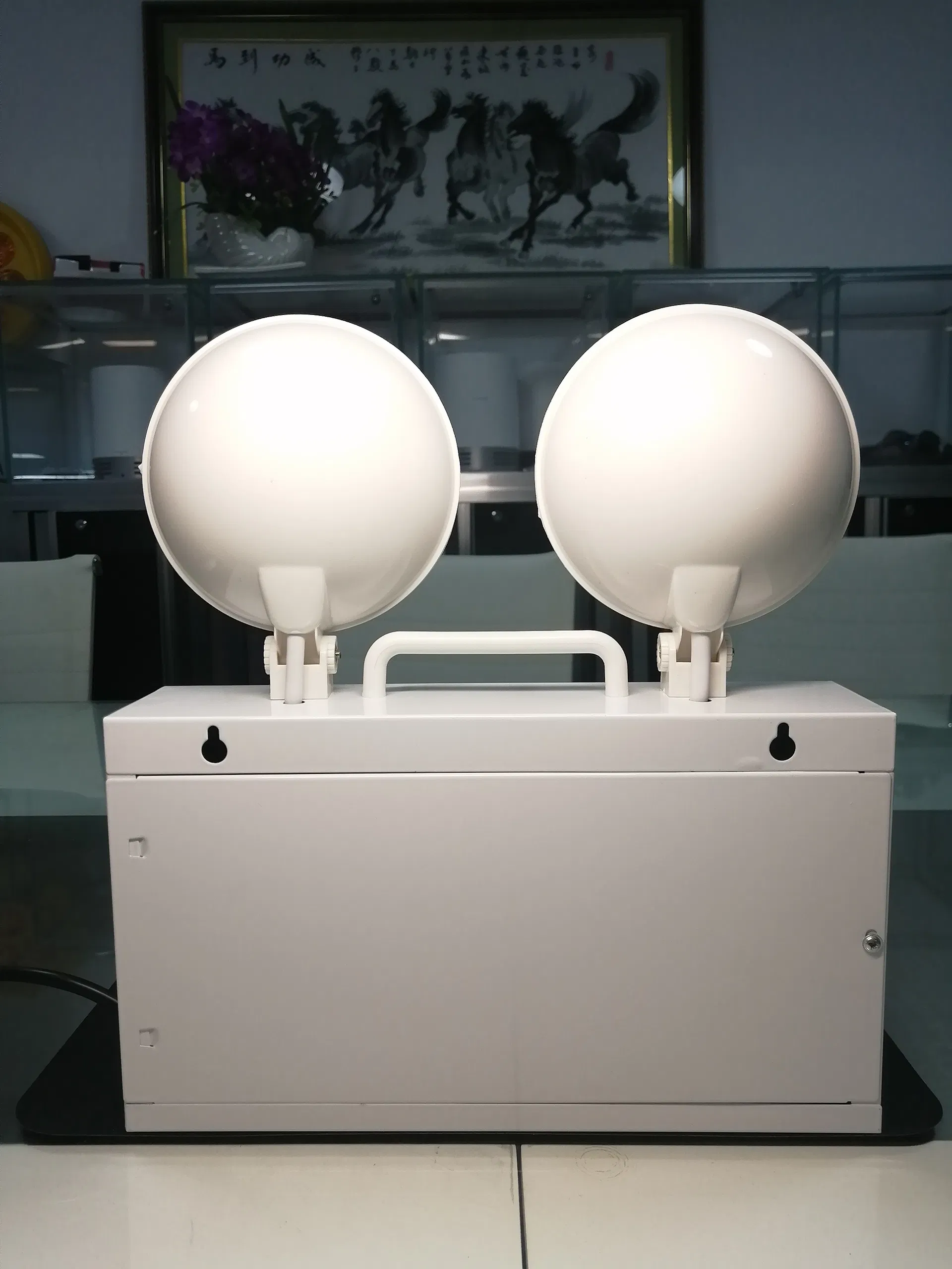 Detailed Product View