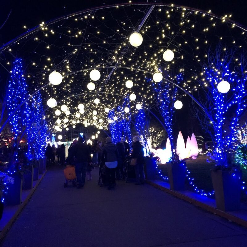 RGB Stage LED Bulb Lights Raw Material Home Garden LED Bulb Lighting for Street Decoration