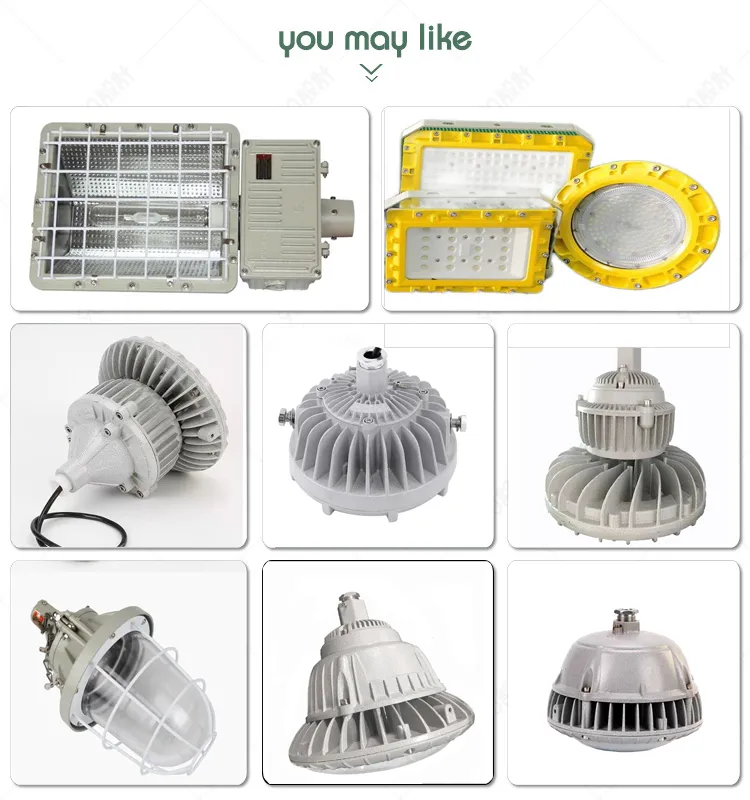 Related Lighting Product 1