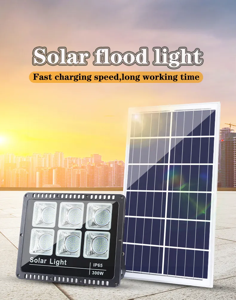 Solar Flood Light Detail 1