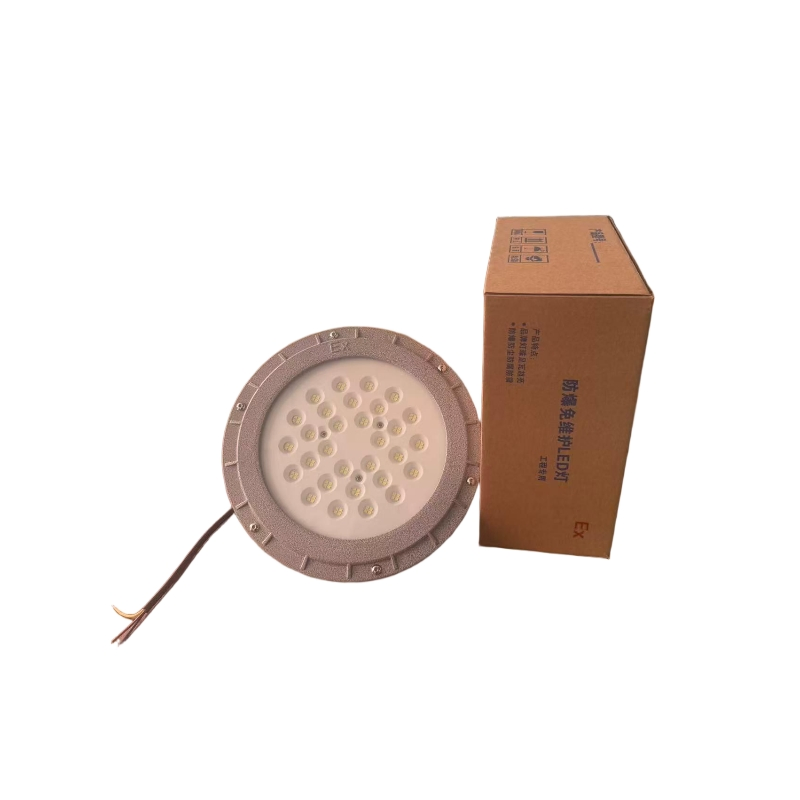 50W 100W 200W Circular Explosion-Proof LED High-Pressure Lamps with a Sturdy Aluminum Alloy Casing, Are Suitable for Industrial Hazardous Areas Fj91-C-1