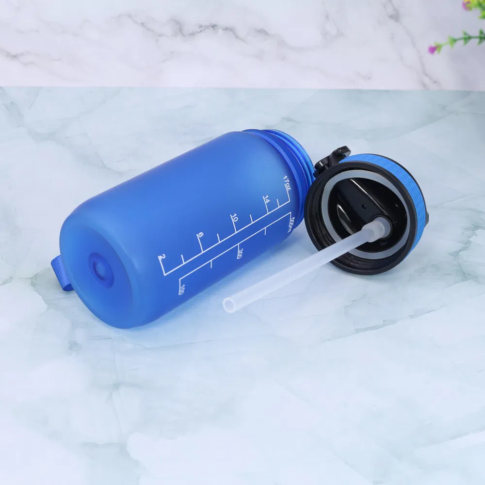 32oz 1000ml matte color plastic straw sports drinking water bottle bpa free dishwasher safe with lanyard for fitness
