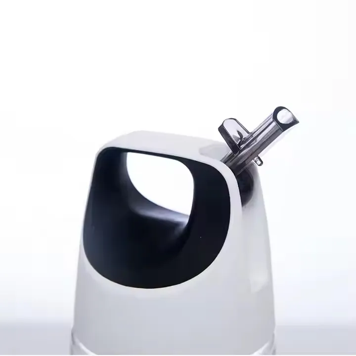 Fruit Infuser Bottle