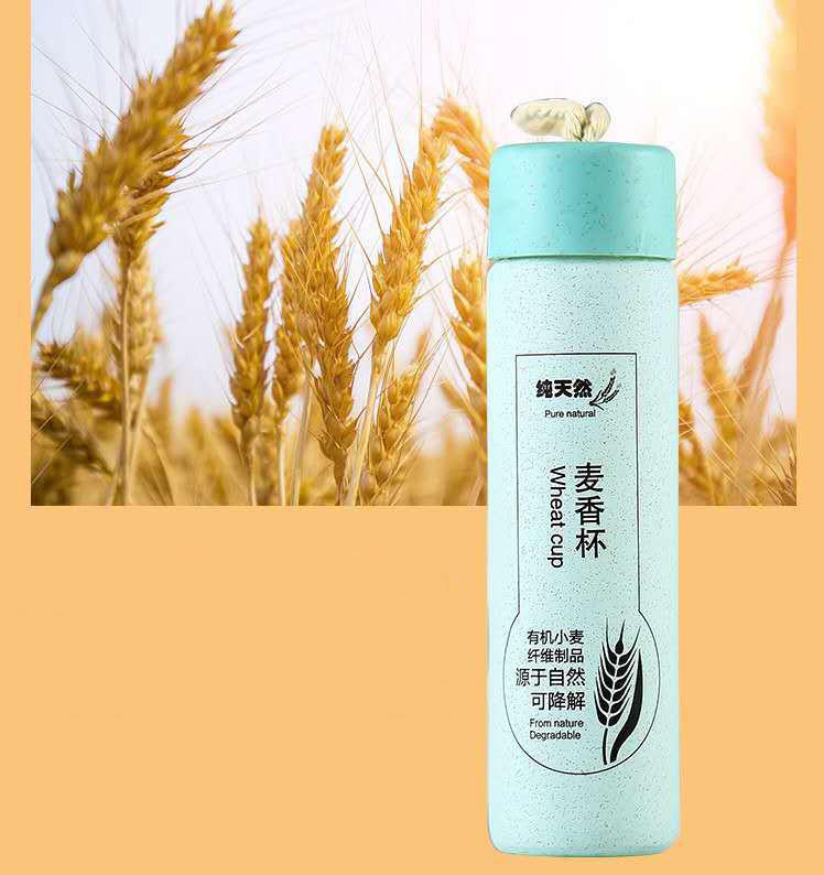 Colored Plastic Eco Friendly Bottle with Custom Logo and Straw