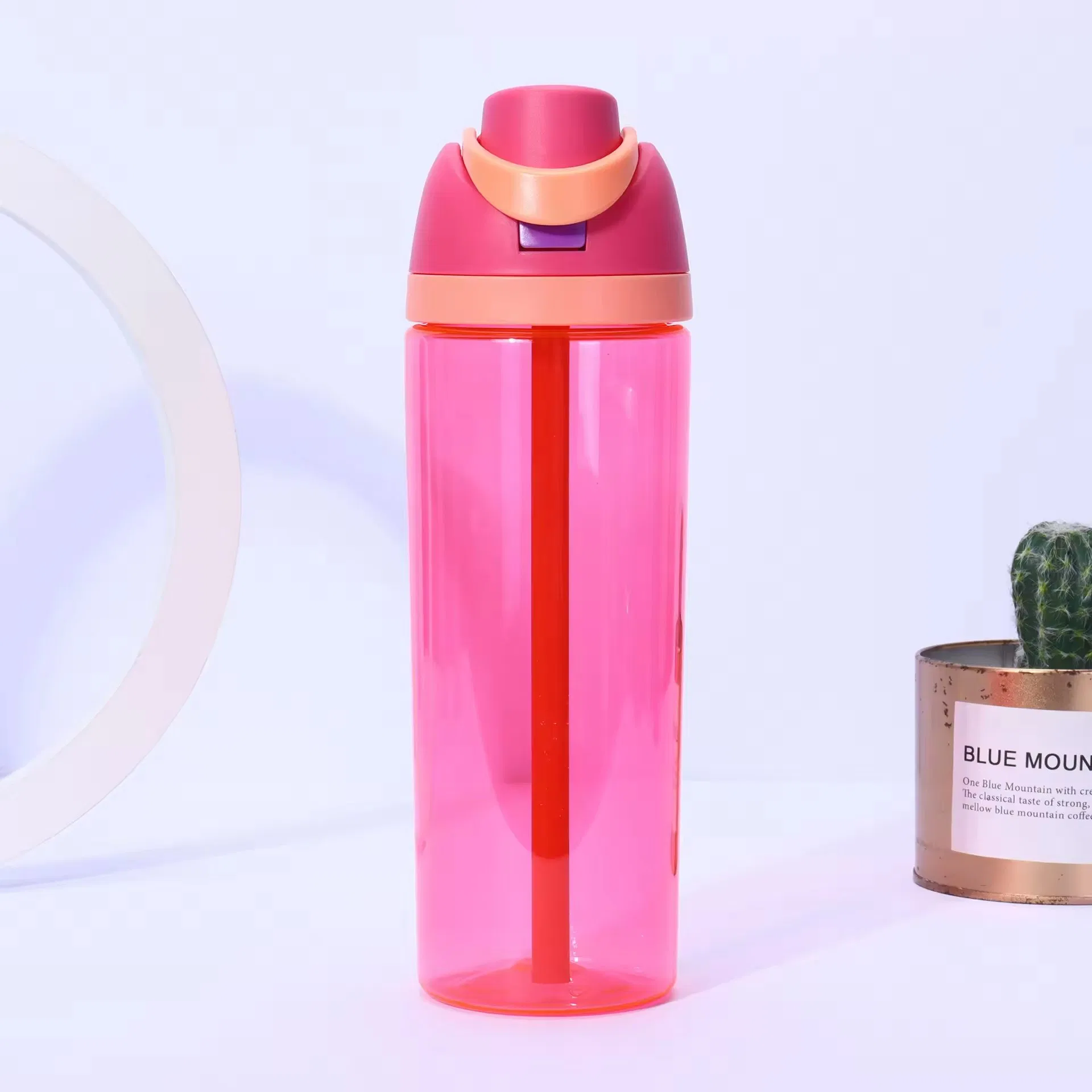 Wholesale Custom 750ml Clear Fruit Sports Travel Plastic Drinking Water Bottle Kids Tumblers with Flip Lid and Straw