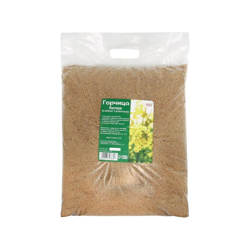 Custom Print Recyclable Plastic Doypack Food Grade Reusable for Snack Nut Grain Food Packaging Wholesale