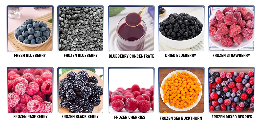 Frozen Fruit Range