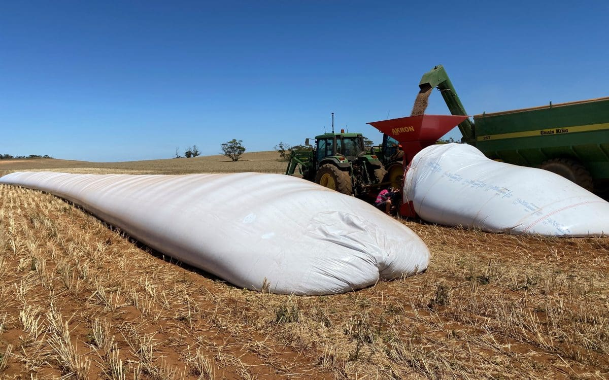Black/White Silage Film 5 Mil - 40'w X 100'l Tubular Plastic PE Bag Storage Maize Grass Silage Bags Tube Silage Grain Storage Bags