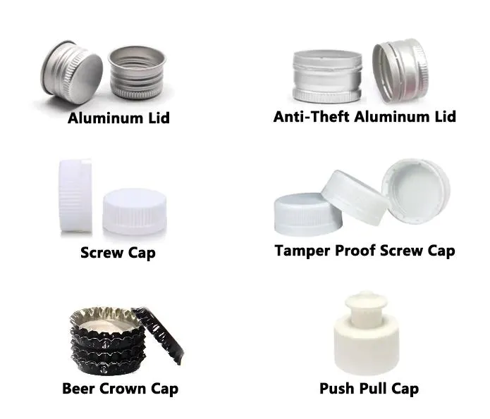 Customization Details