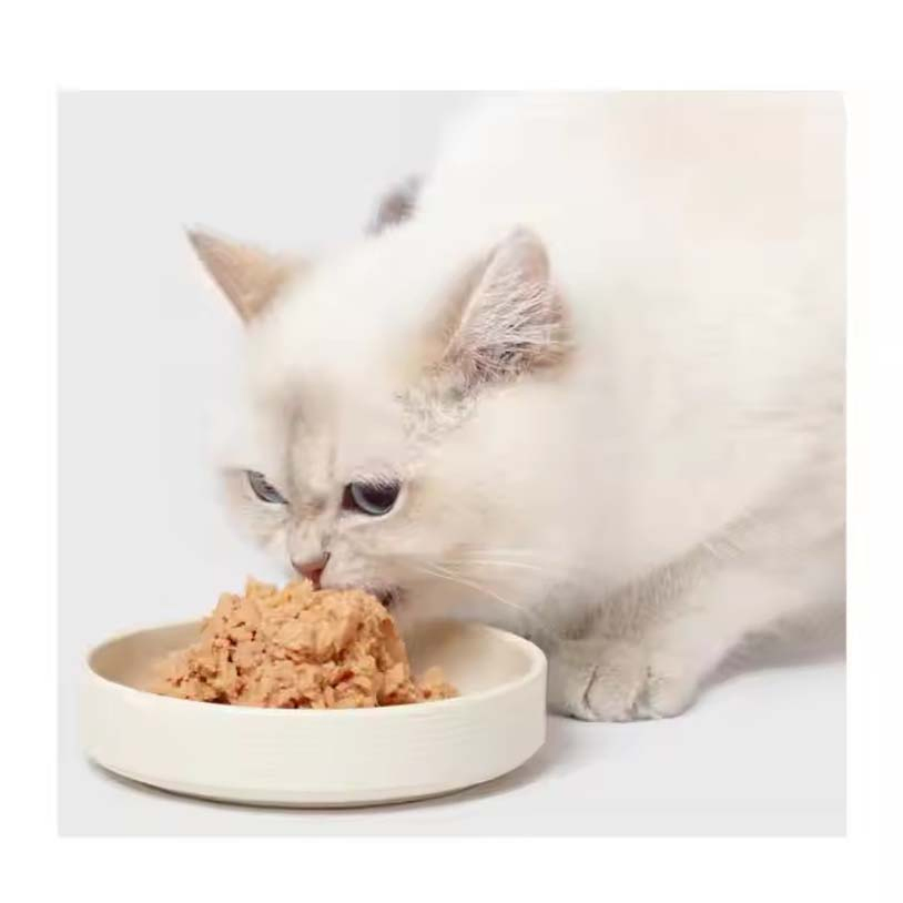 Pet Products Food Grade Metal Tinplate Cans Recyclable Ring Pull Empty Tuna Fish Tin Box Seal Tin Box Stock