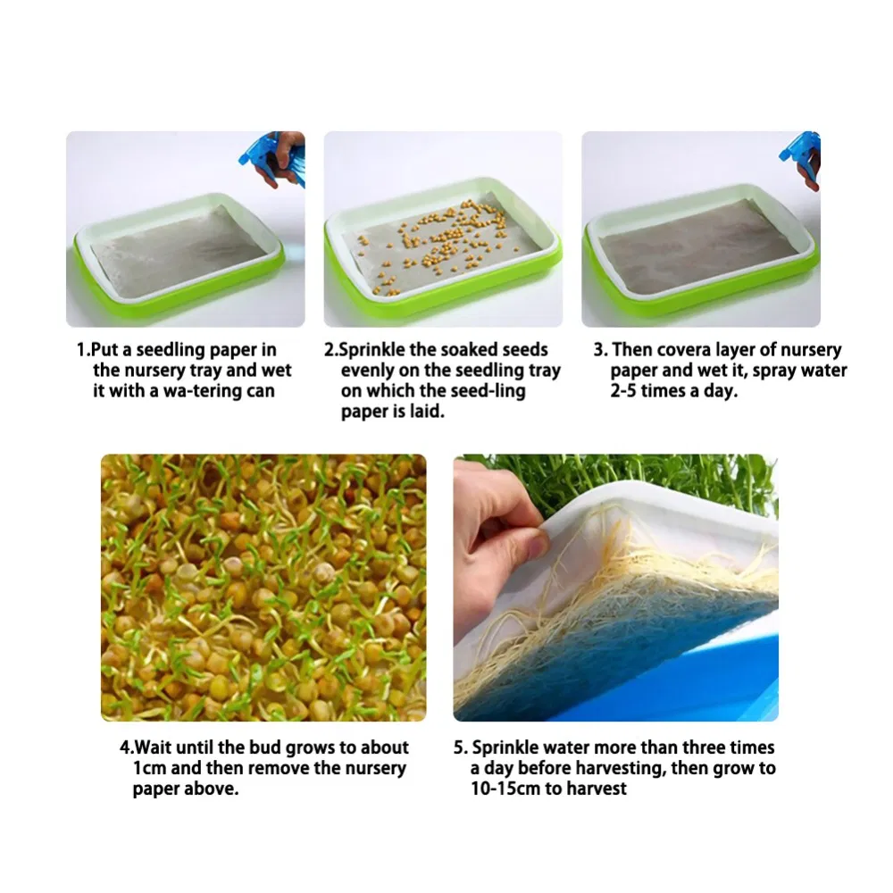 Seedling Tray 7
