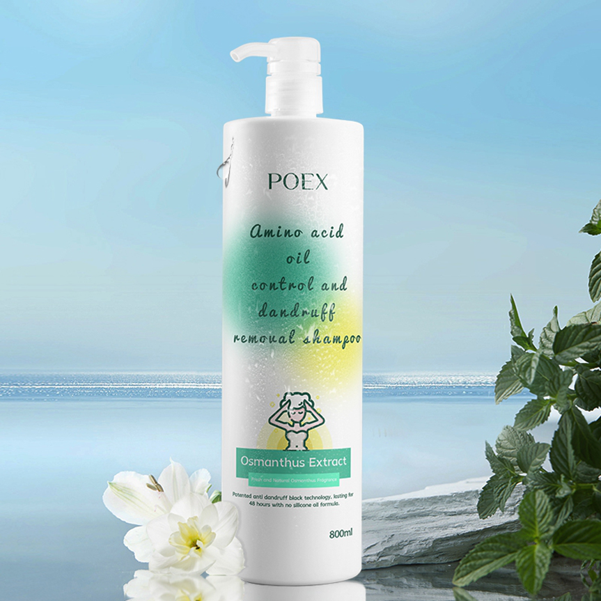 Hotel Shampoo &amp; Conditioner Set with Shampoo Bottles, HDPE Plastic Packaging, and Dispensers