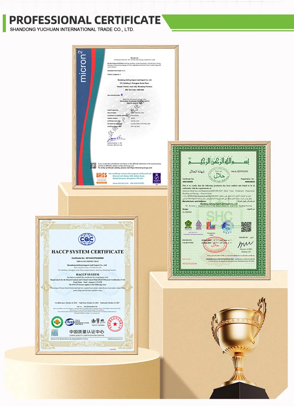 Wholesale French Fries