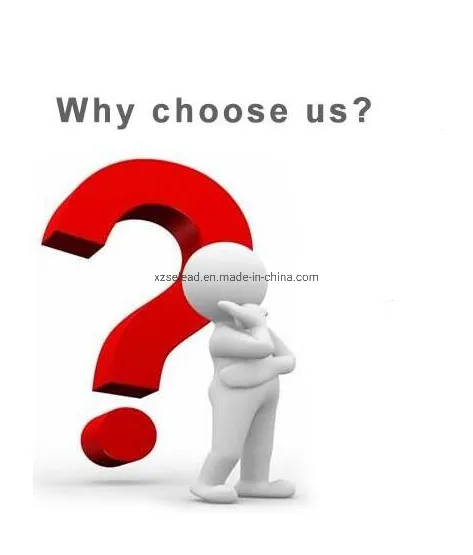 Why choose us
