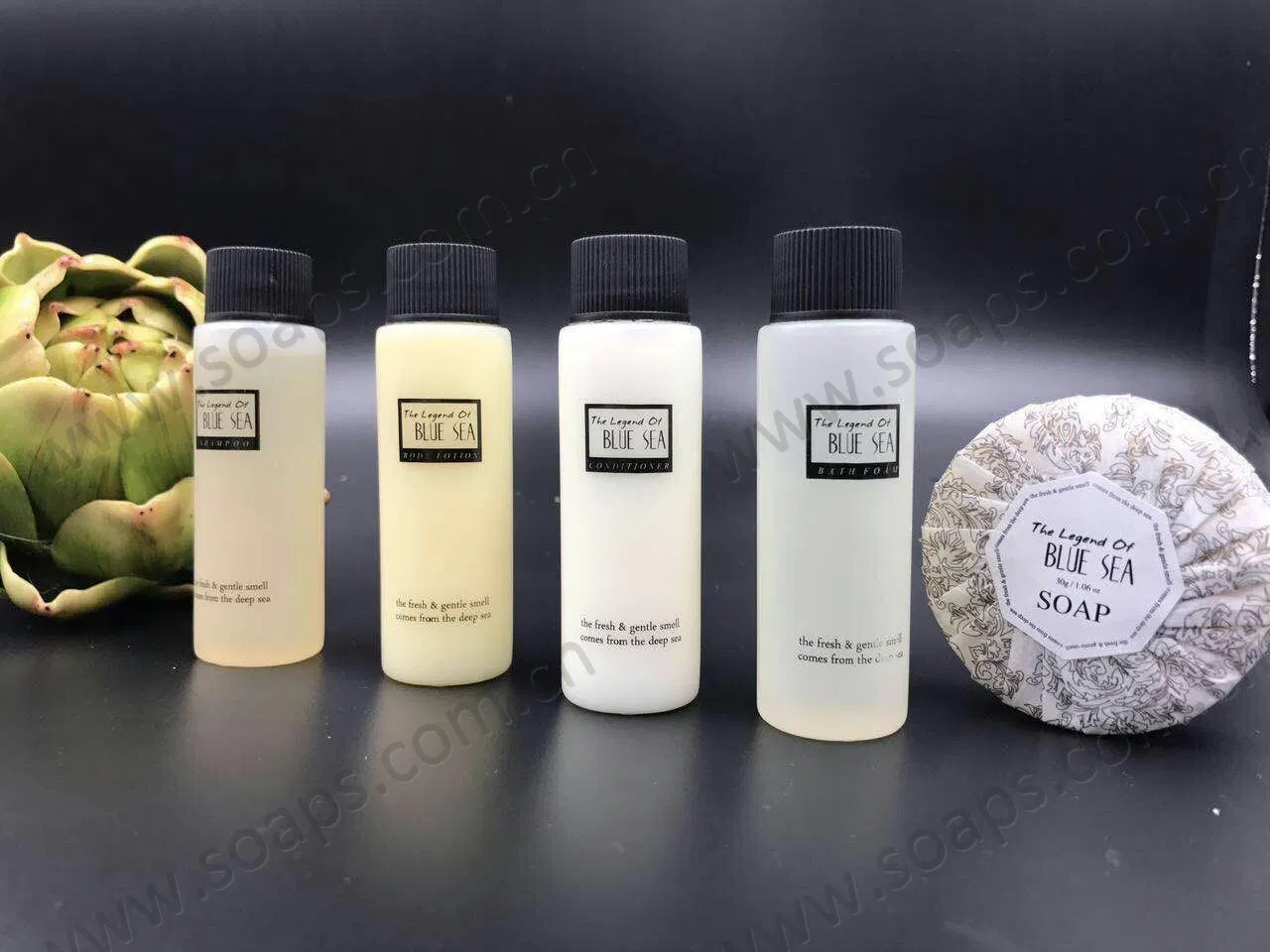Conditioning Shampoo in Pet Bottle with Hotel Amenities for Hotel