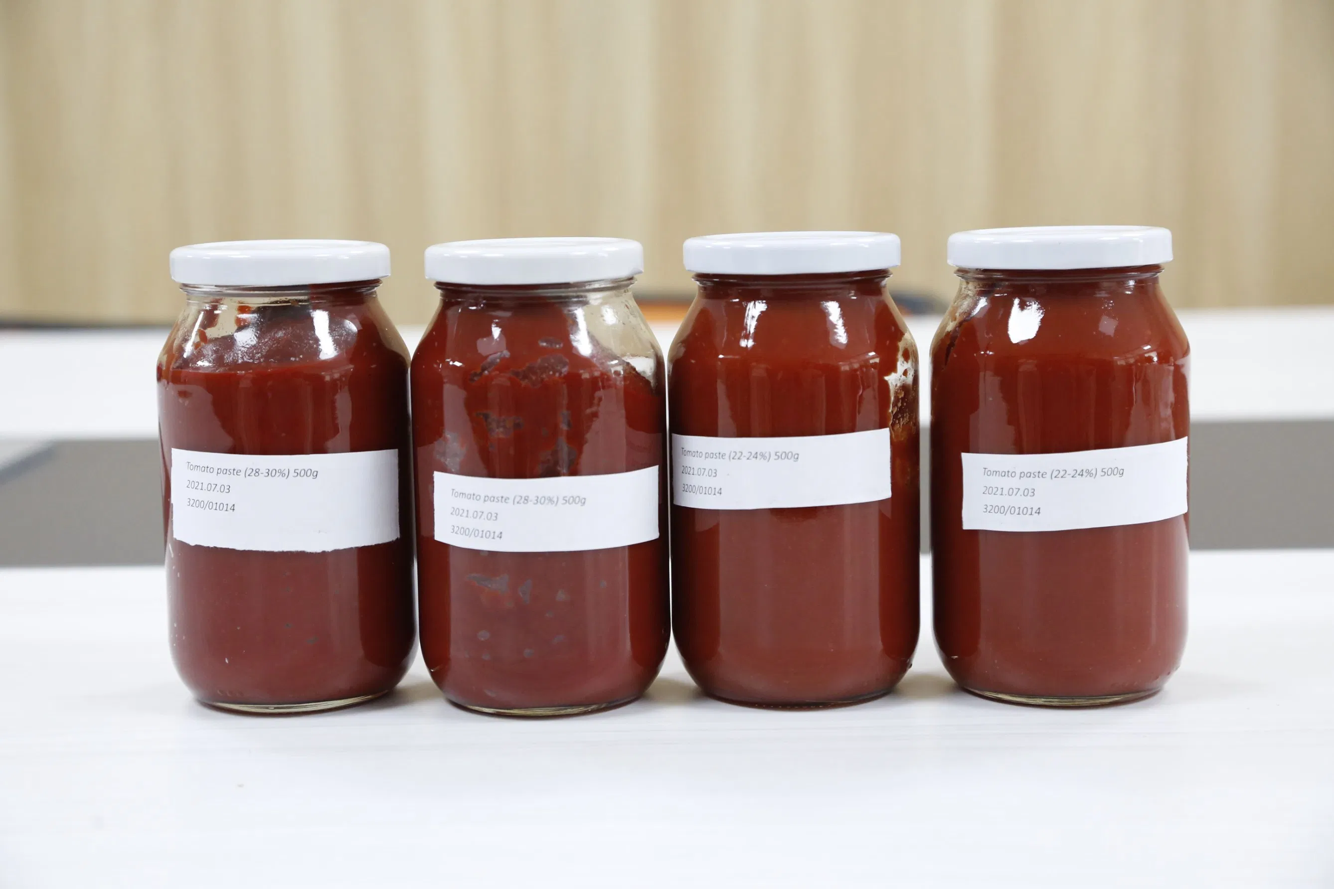 Pizza Fries Seasoning Tomato Sauce in Plastic Bottles 500g