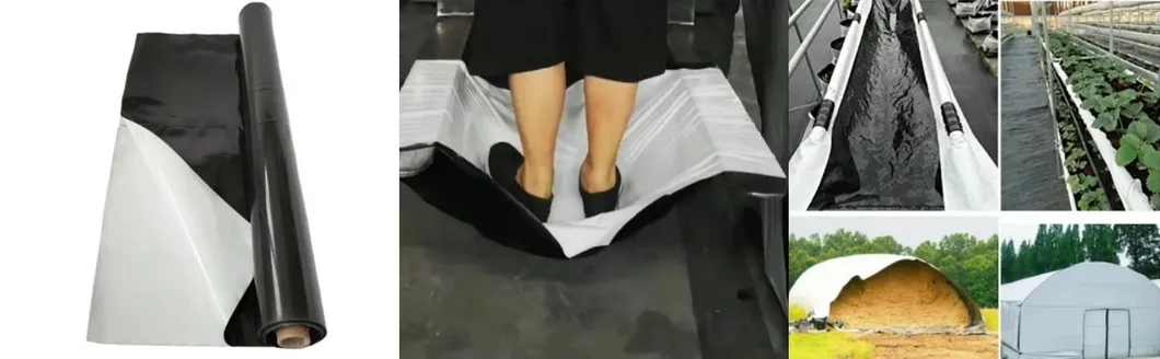 Grain Storage Silos Advantages