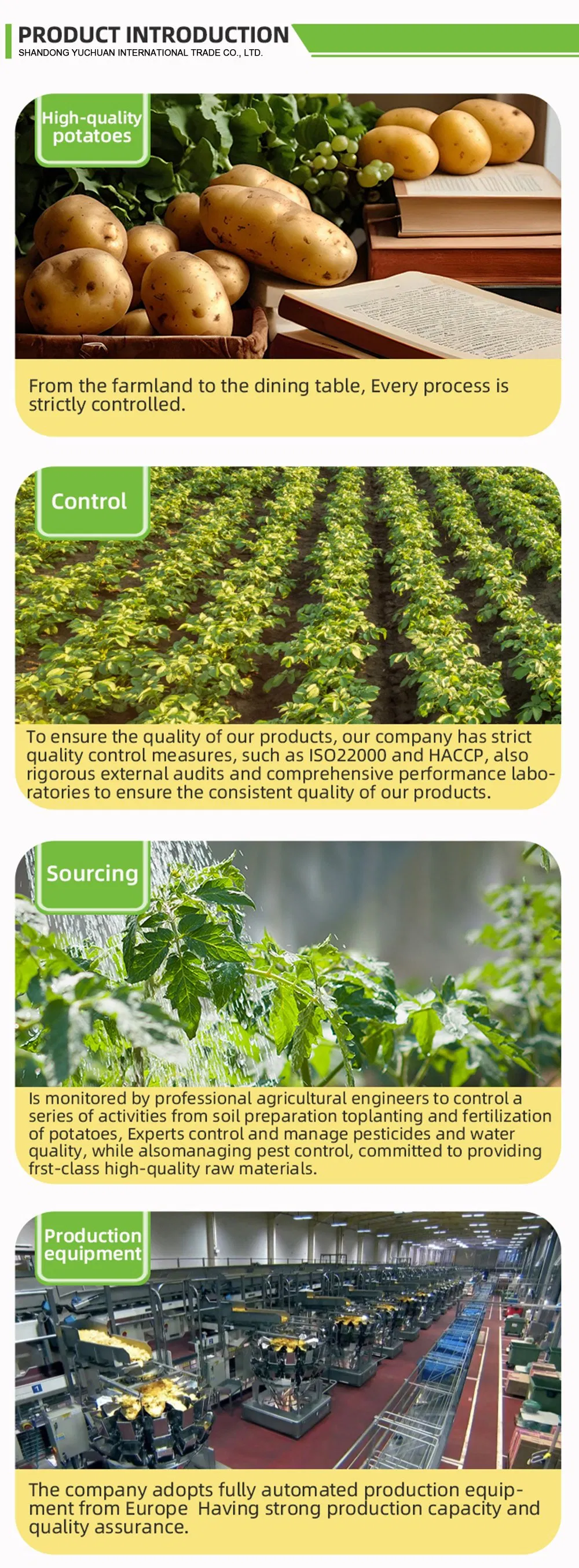 IQF Vegetable Supply