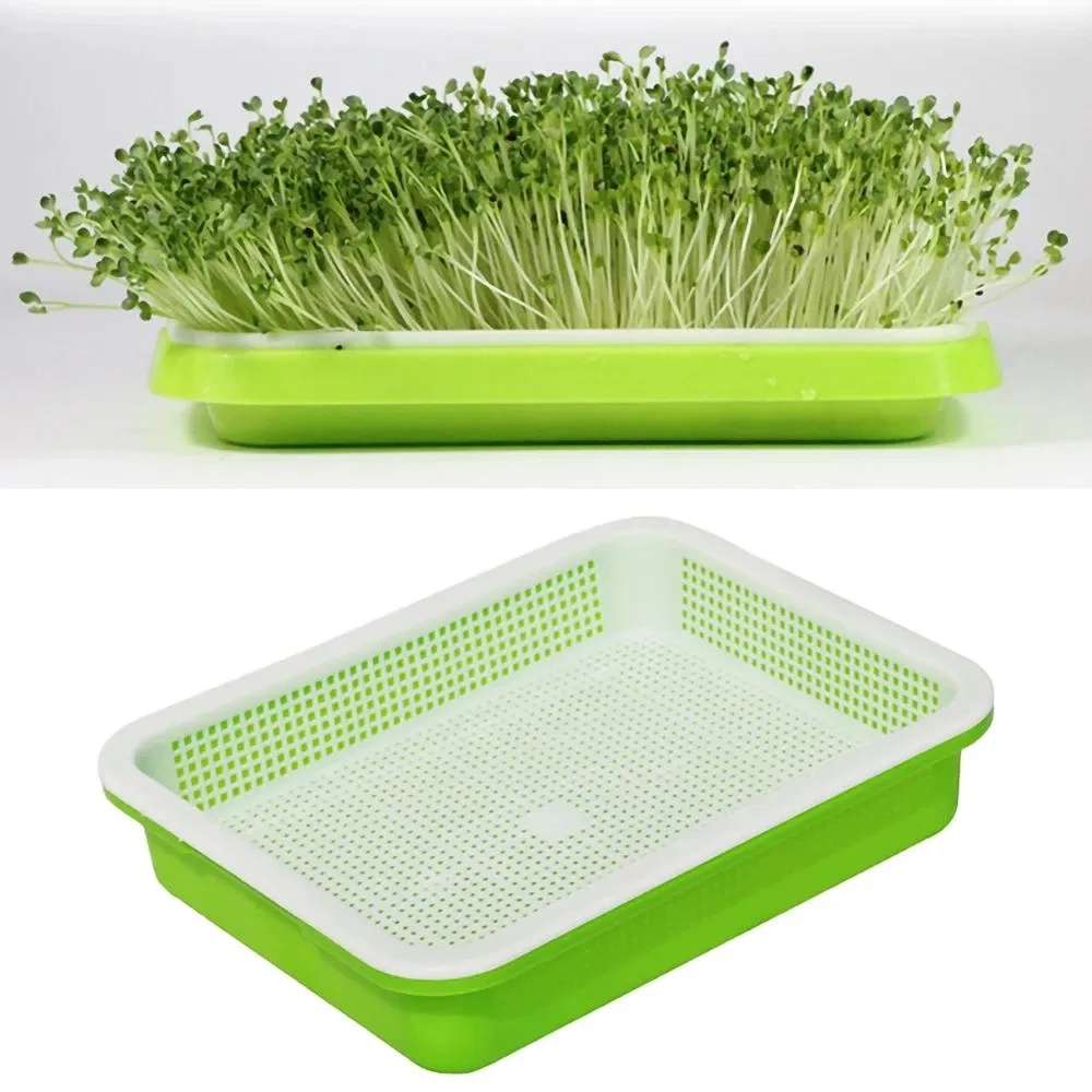 Seedling Tray 1