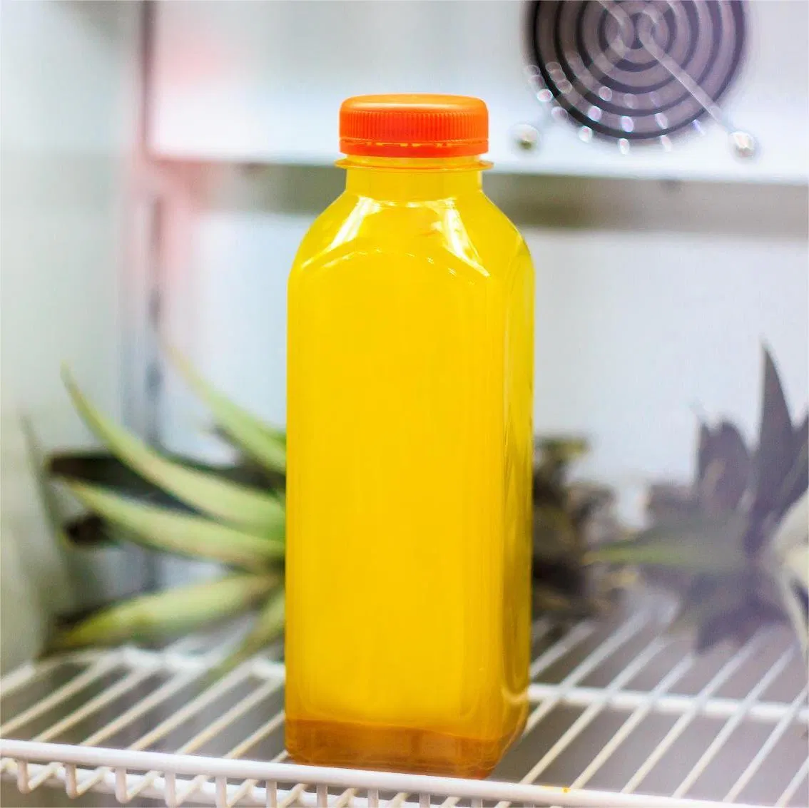 Transparent Clear Pet Cold Brew Coffee Plastic Bottles Juice Beverage Smoothies Bottles