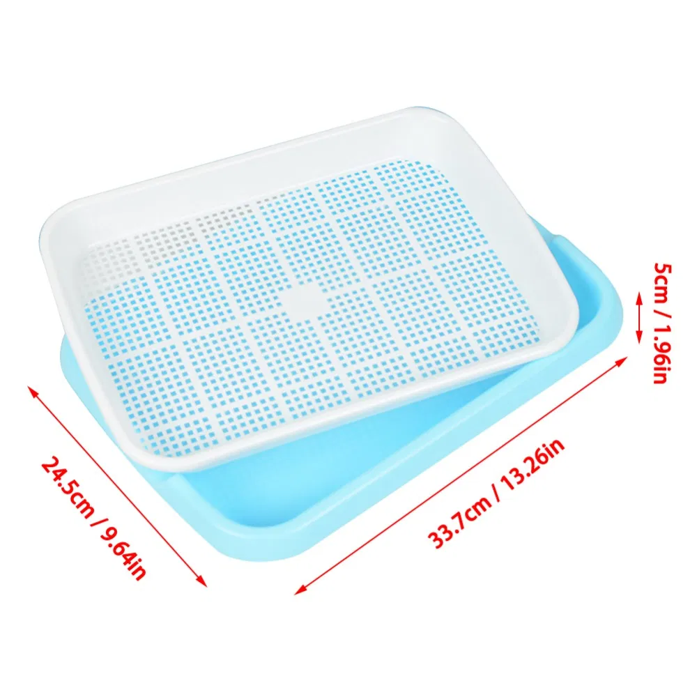 Seedling Tray 6
