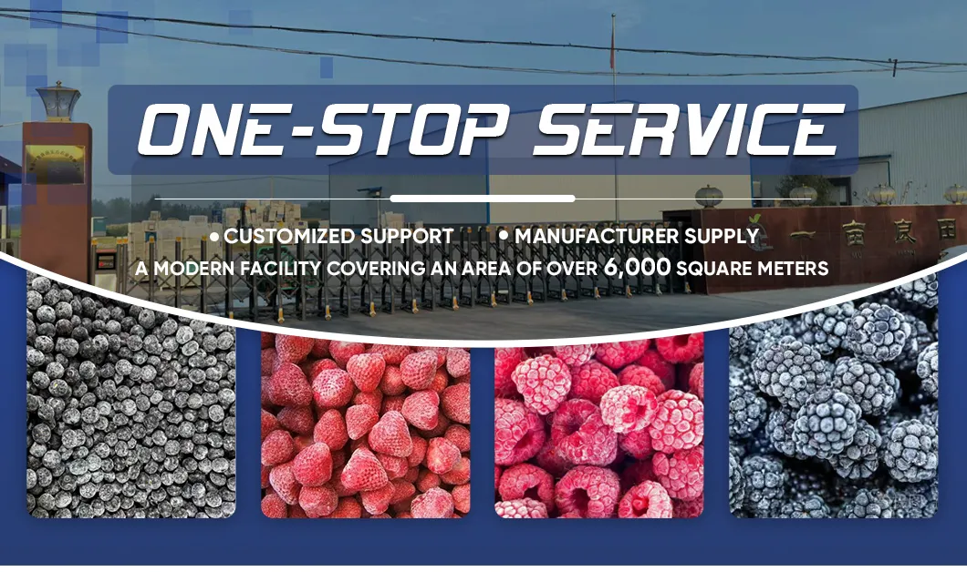 Blueberry Concentrated Juice Banner