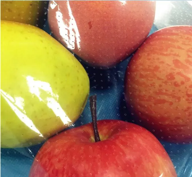 Micro Perforate Bag 3