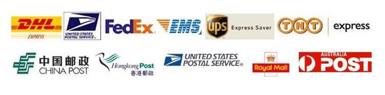 Transportation Logistics