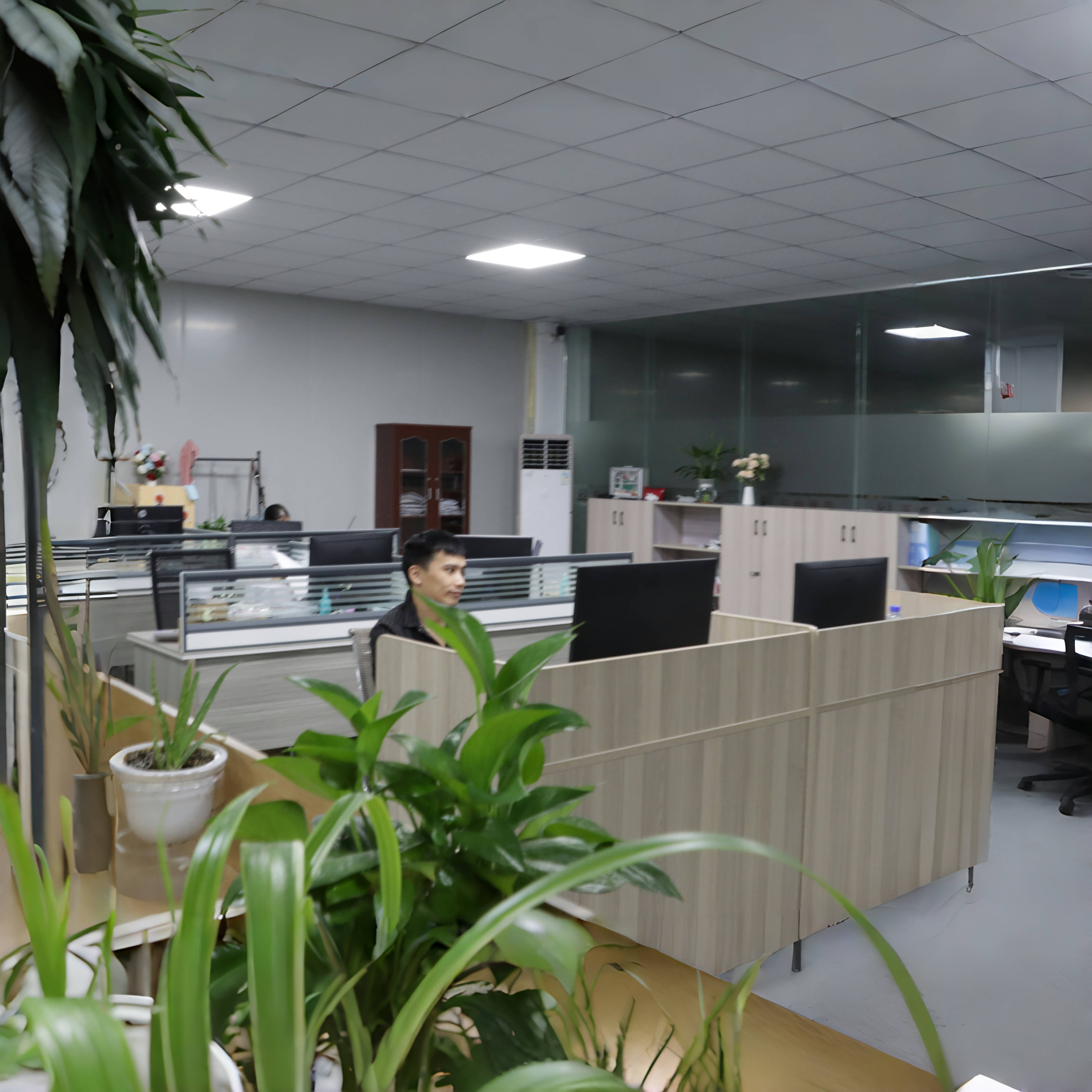 Client Case 5