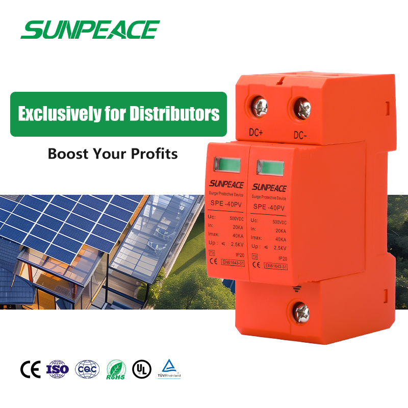 DC SPD 500v 600V 1000v 2P 4P T2 Surge Protector Device Double Pole 2p 2 Pole 20KA 40kA Solar PV DC Surge Protection Devices