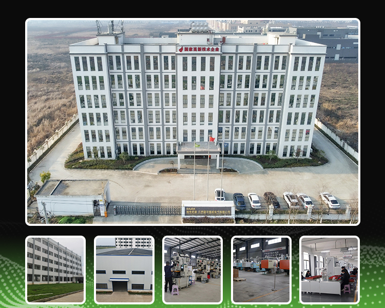 Company Profile