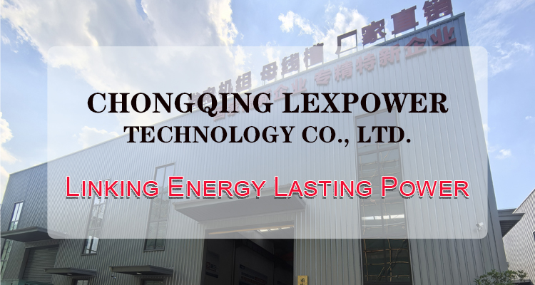 Company Profile