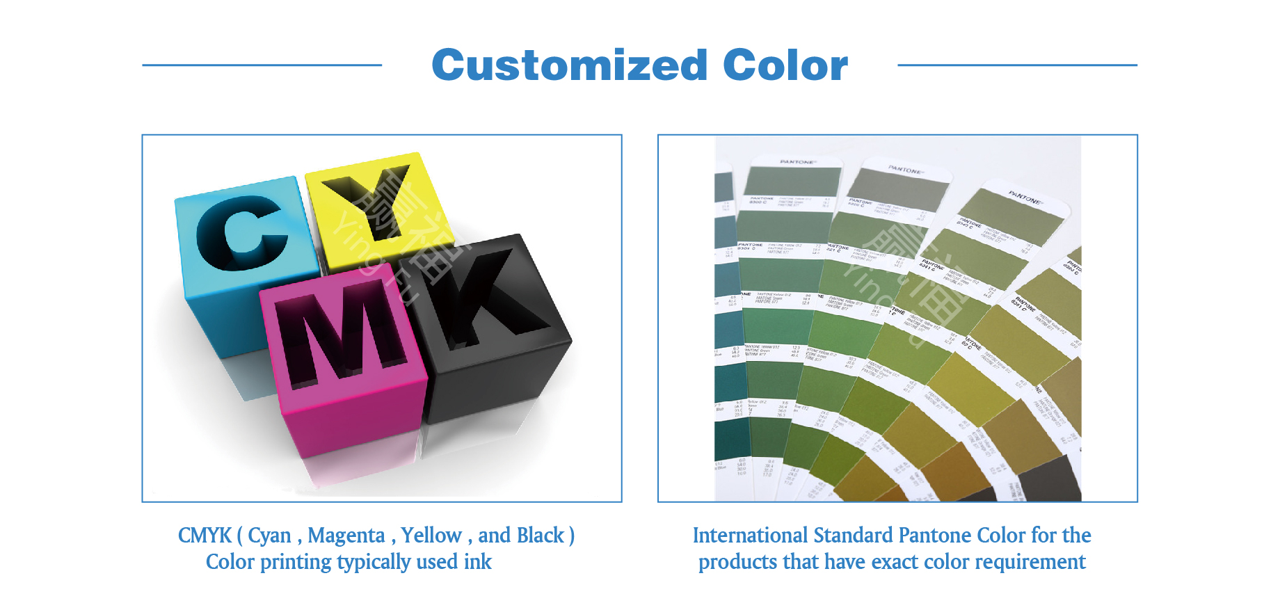 Product View 5