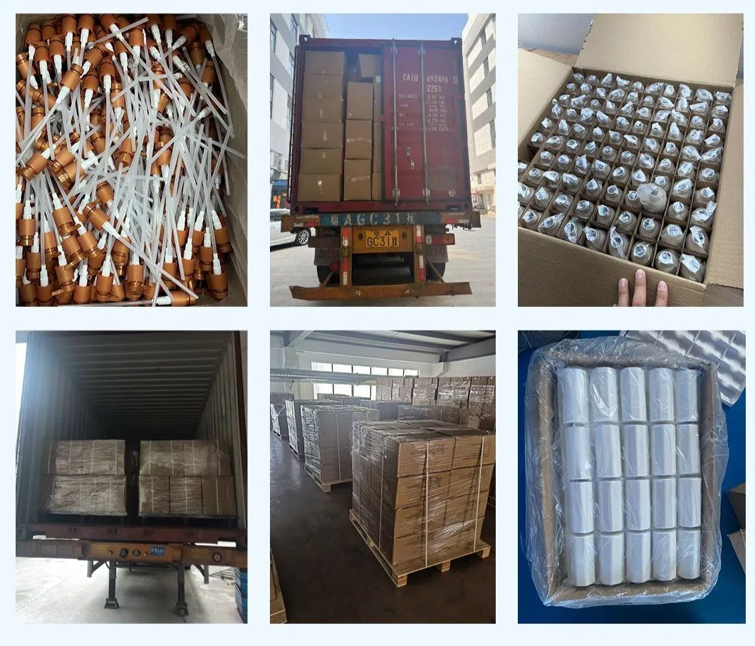 Shipping Logistics