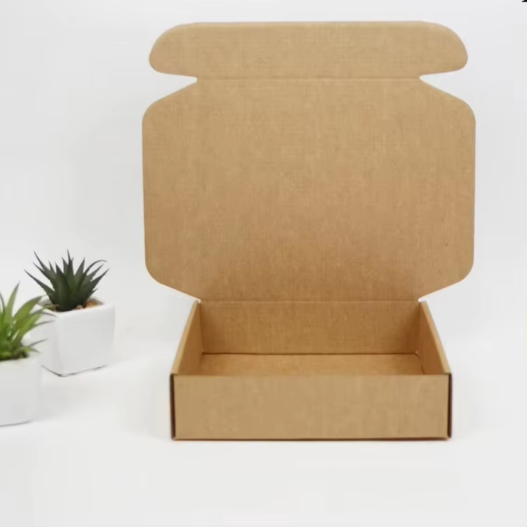 Packaging Box 1