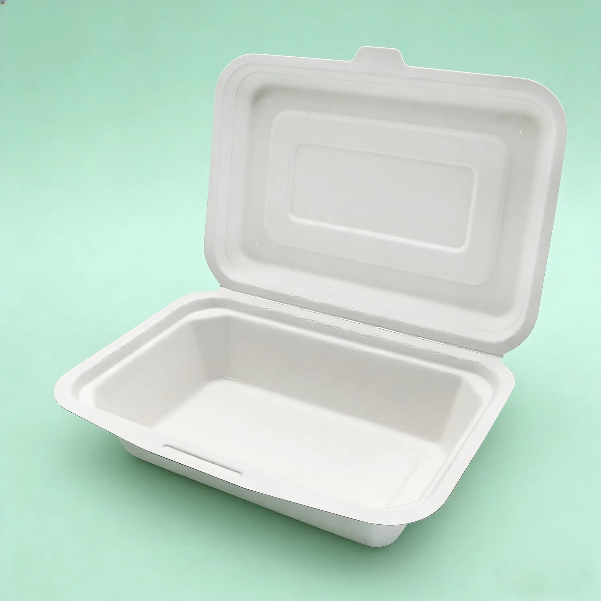 Sustainable Sugarcane Bagasse Biodegradable Compostable Takeaway Food Packaging Box for Restaurant