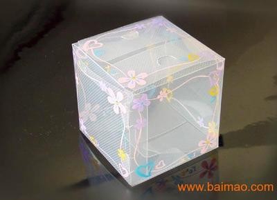 Plastic Packaging Box 7