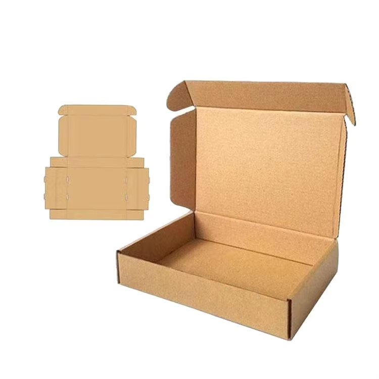 Packaging Box 5