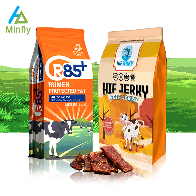 Custom 1kg 5kg Pet Food Bag Dog Cat Food Packaging With Handle Aluminum Foil Mylar Pouch MOPP VMPET PE Large Capacity Bag
