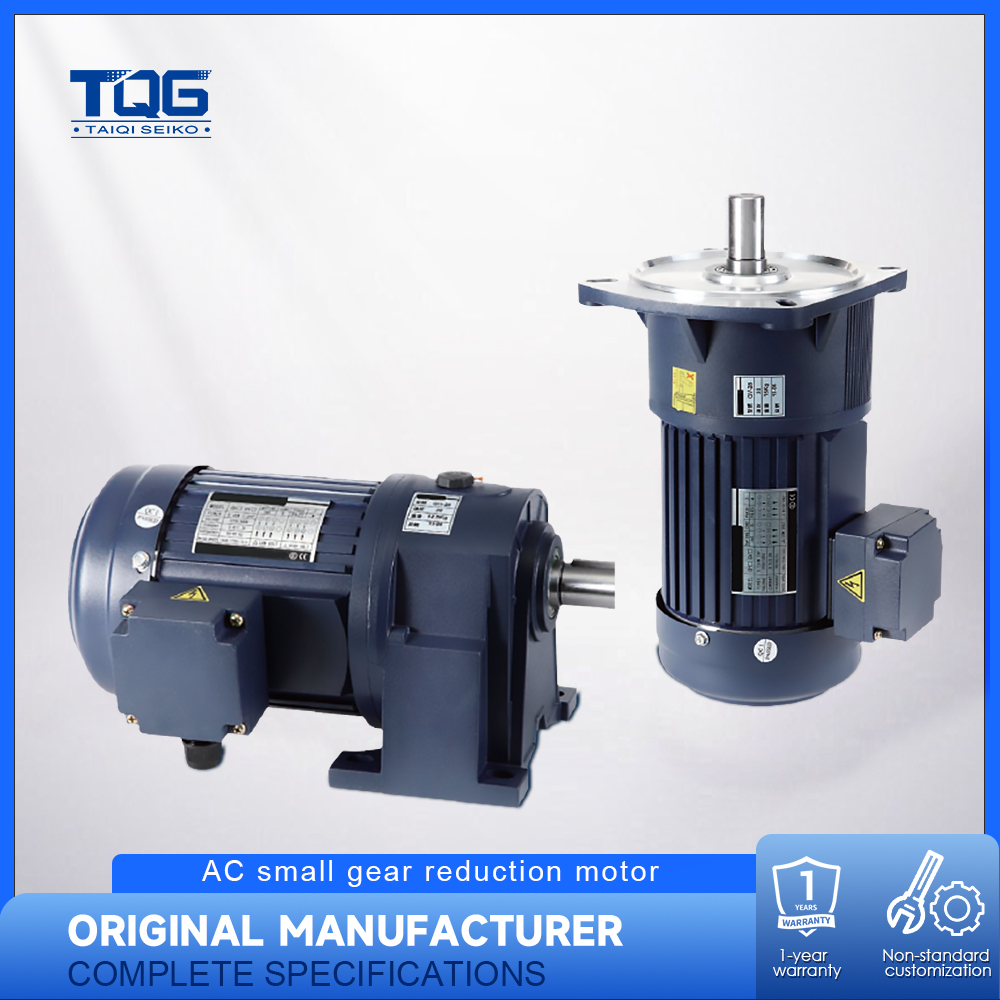 AC Mini Gear Motor