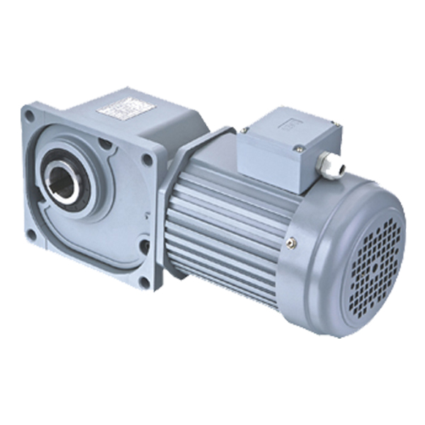 Light Weight Worm Gear Reducer Bevel Planetary Gear Steel/Cast Iron Hollow Shaft 10:1 Ratio TQG Brand GBT3-6 Precision