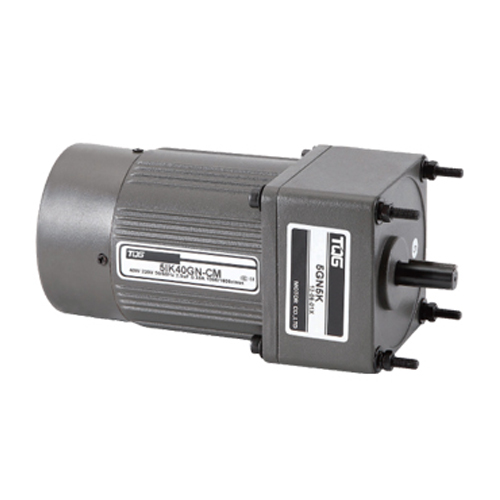 High Torque 3000 RPM Micro Single Phase AC Gear Motor Induction Motor 6-250W IP54 Flange Mount 50/60Hz TQG IE3