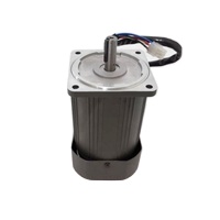 TQG Z2D06- Brushless DC Gear Motor 6W 12-90V High Efficiency IE4 19-796Nm Torque 2800-3000RPM for Electric Bicycles Home