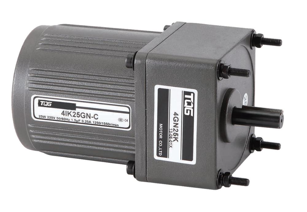 TQG AC Gear Motor 3000 RPM 6W Single Phase Electric Motor Reductor IP54 Protection Flange Mount 50/60Hz 42mm Frame