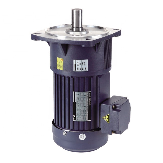 1/4HP 200W 0.2Kw 1 Phase AC Motor Deceleration Gear Motor for Cutting Machinery 50Hz/60Hz Ratio Range 1-3-1-1800 Small Motor
