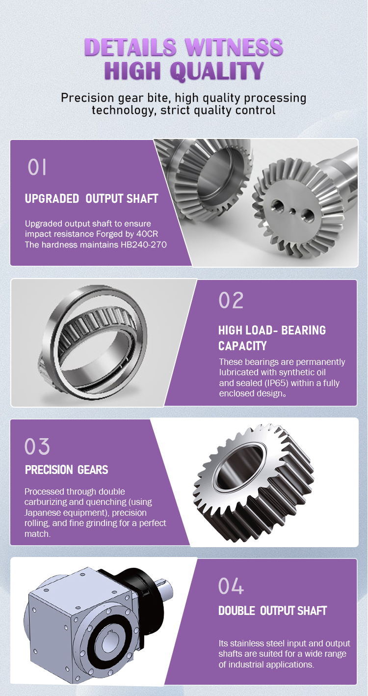 Gearbox Detail 3