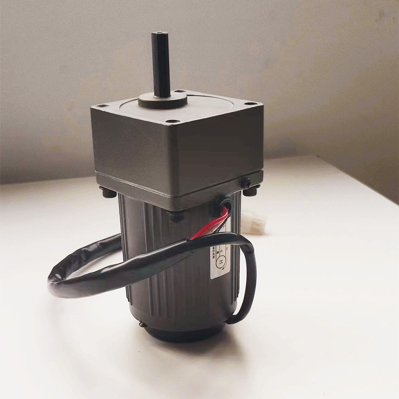 Micro Gear Motor Detail