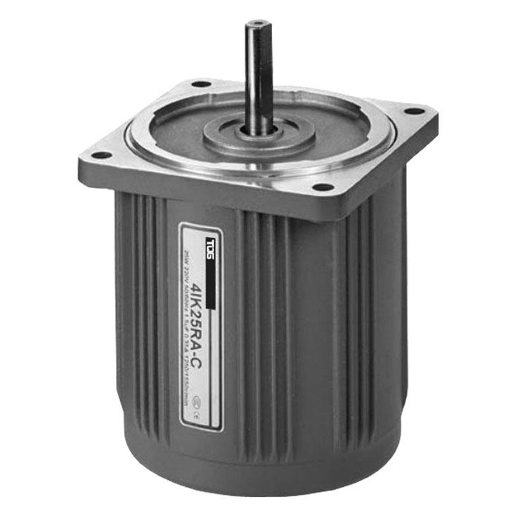 0.2 hp Three-Phase DC Permanent Magnet Spur Gear Brake Motor Low RPM