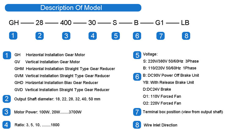 Model Selection