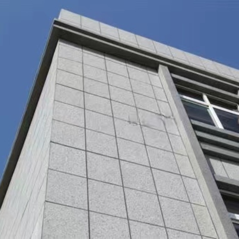 ASA Moderno Lujo Inteligente Casa Prefabricada Modular Edificio de Apartamentos